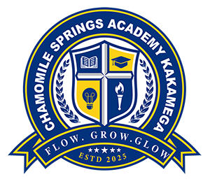 CHAMOMILE SPRINGS ACADEMY